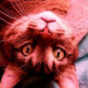 Meet your Posher, Chloe